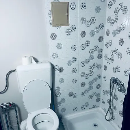 לינה וארוחת בוקר Serbian House טימישוארה