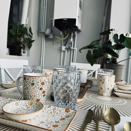 Serbian House Bed & Breakfast Timisoara