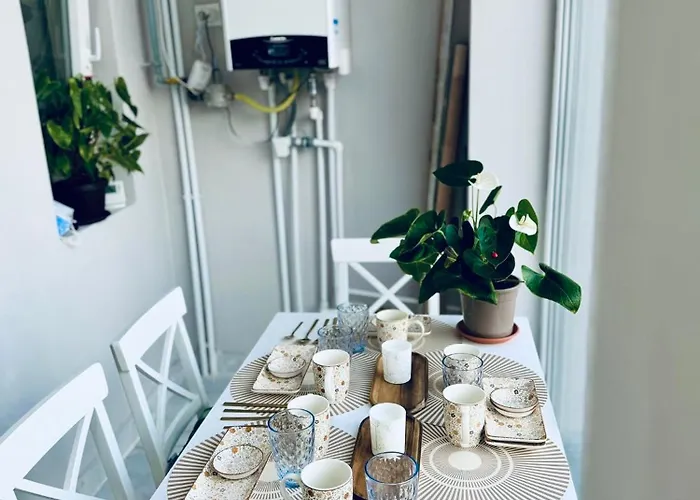 Serbian House 3* Тимишоара