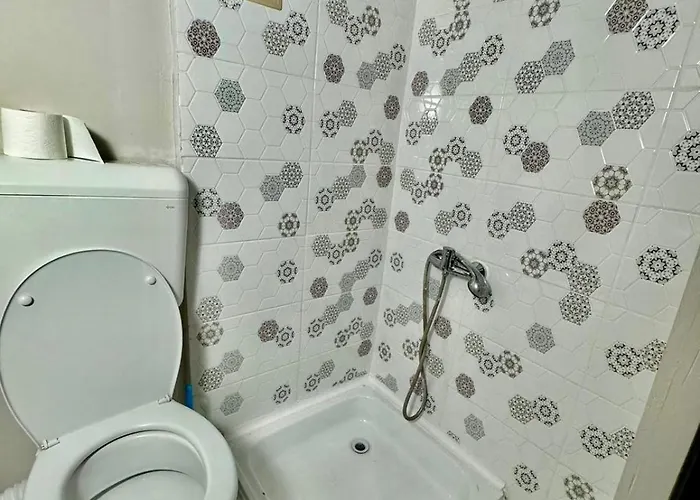 Serbian House Тимишоара