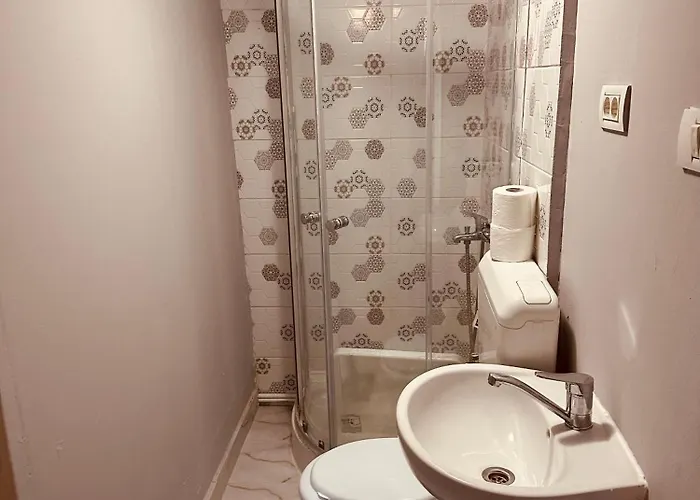 Serbian House Timişoara